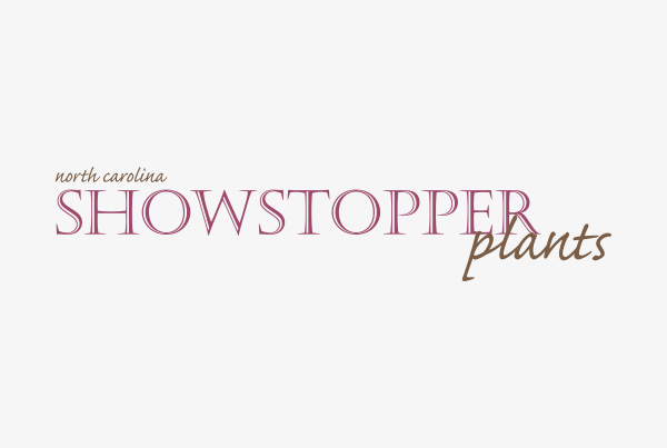 Showstoppers
